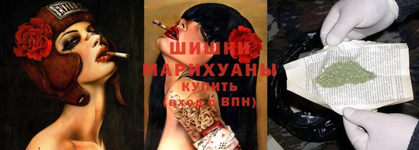 бошки Алексин
