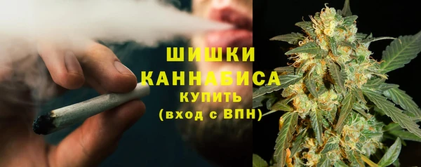 бошки Алексин