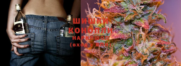 прущие крисы Алексеевка